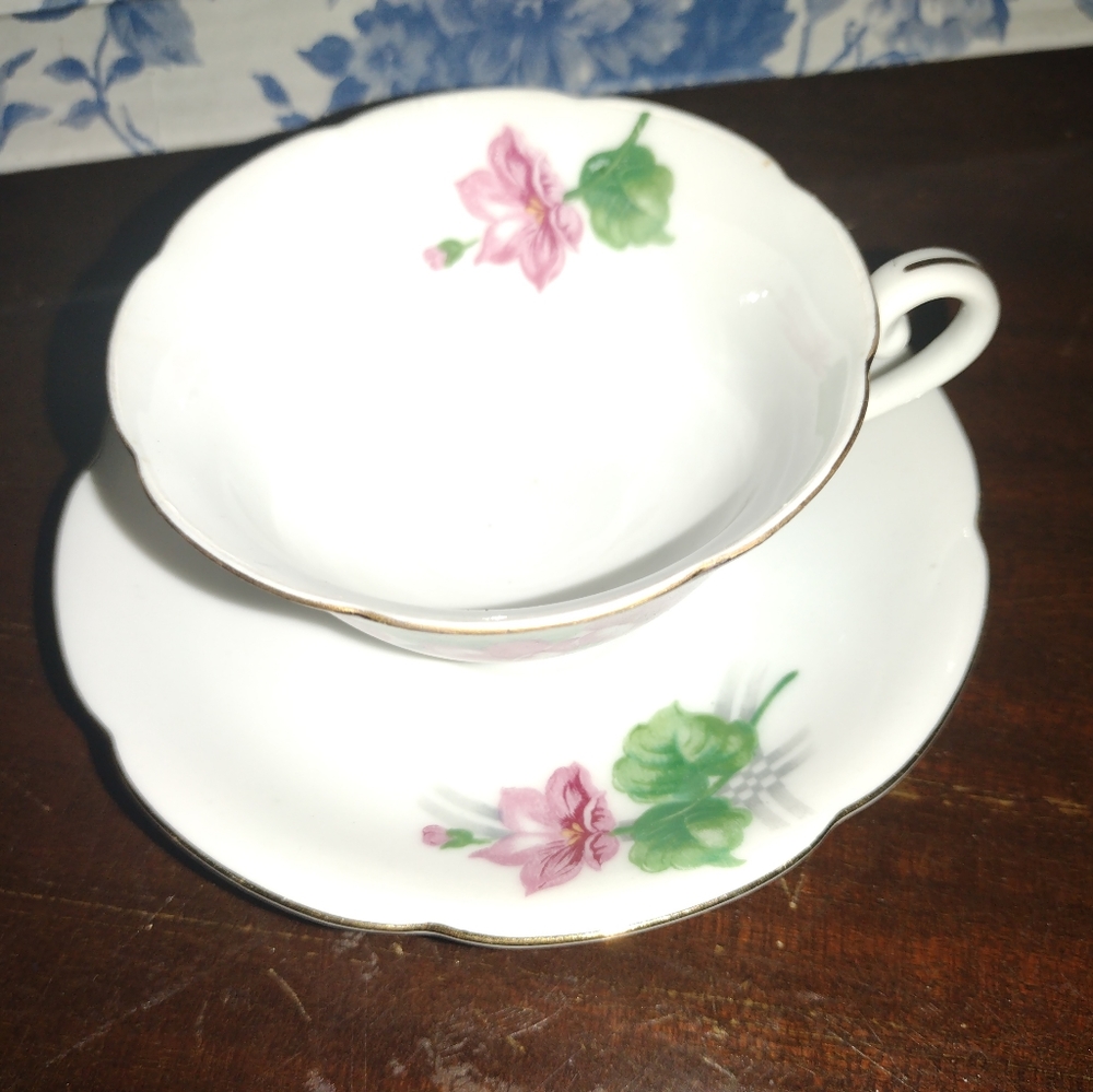 Vintage Diamond China Flower Boom & Web Teacup and Saucer Set - Japan